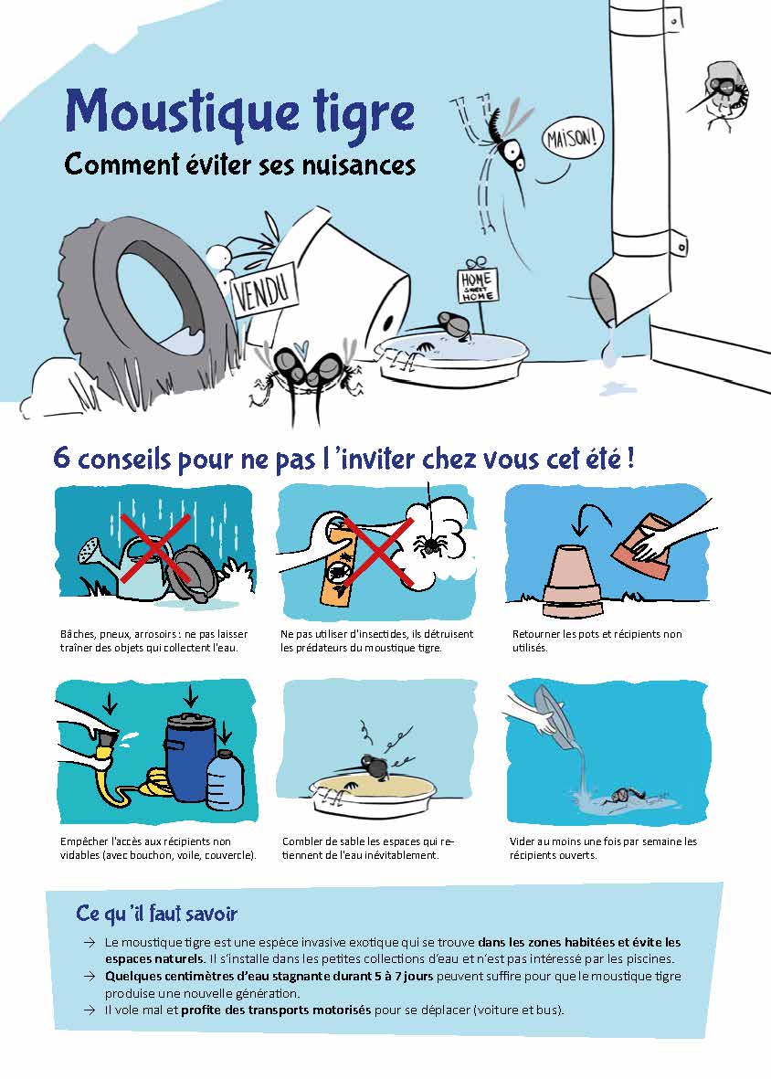 MOUSTIQUE TIGRE Page 1