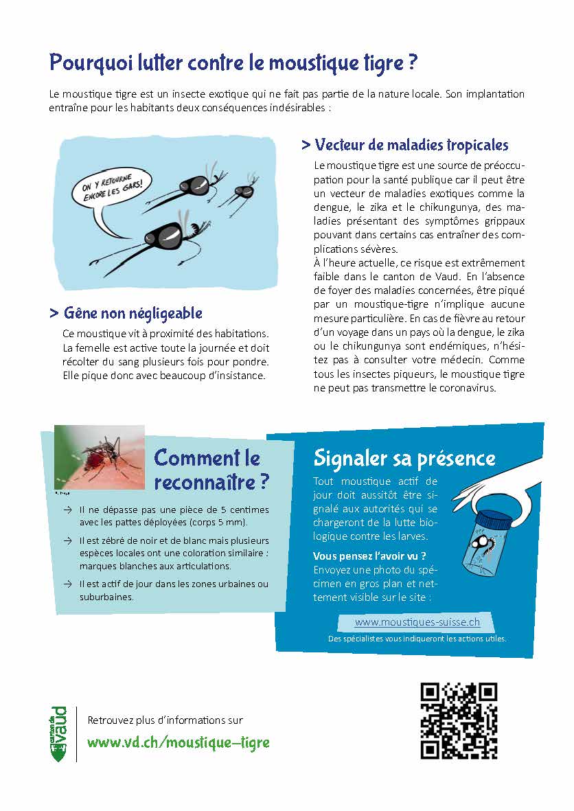MOUSTIQUE TIGRE Page 2