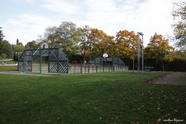 Terrain multisports des Pressoirs